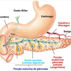 Diabetes Supplies Online - Discover How To Control And Treat Diabetes - 30 Topics