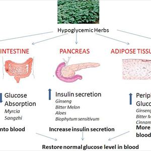 Diabetes Supplies - How To Make Dick Bigger Naturally Diabetics And Sex - How Diabetes Effects Men&Amp;#039;S Sex Lives