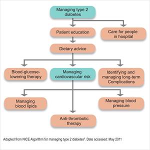 Diabetes Ii Diet - Diabetes Skin Ulcer Management - How To Prevent Gangrene From Happening